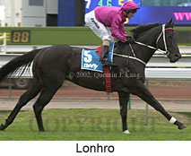 r7lonhro3.jpg (13503 bytes)