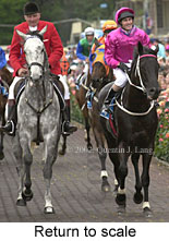 r7rtosc.jpg (16132 bytes)