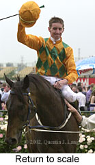 r8rtosc.jpg (13262 bytes)