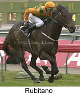 r8rubitano.jpg (12014 bytes)