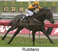 r8rubitano2.jpg (13173 bytes)