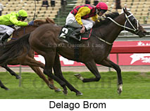 r9delagobrom.jpg (14923 bytes)