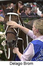 r9delagobrom3.jpg (14824 bytes)