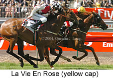 La Vie En Rose (21625 bytes)