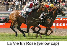 La Vie En Rose (21625 bytes)