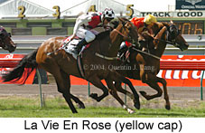 La Vie En Rose (21625 bytes)