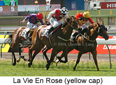 La Vie En Rose (21625 bytes)