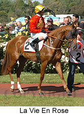 La Vie En Rose (21625 bytes)