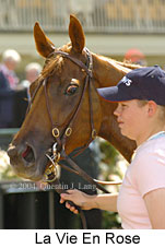 La Vie En Rose (21625 bytes)