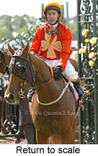 Return to scale (17769 bytes)