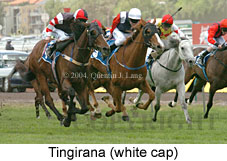 Tingirana (16896 bytes)