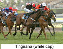 Tingirana (16900 bytes)