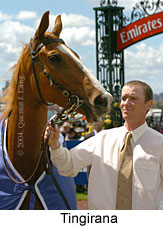 Tingirana (15869 bytes)