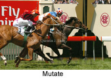 Mutate (16971 bytes)