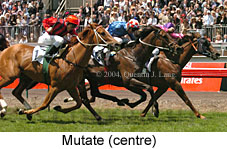 Mutate (16971 bytes)