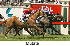 Mutate (16971 bytes)