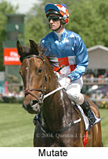 Mutate (16971 bytes)