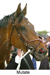 Mutate (16971 bytes)