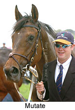 Mutate (16971 bytes)