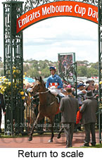 Return to scale (17769 bytes)