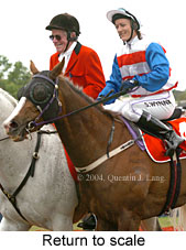 Return to scale (17769 bytes)