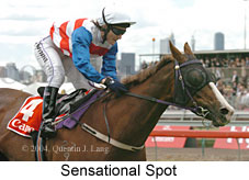 Sensational Spot (16971 bytes)