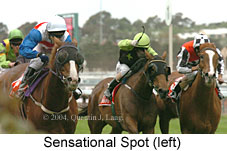 Sensational Spot (16971 bytes)