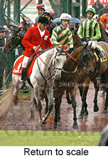 Return to scale (17769 bytes)