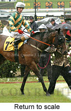 Return to scale (17769 bytes)