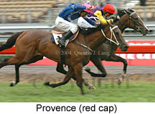 Provence (16971 bytes)