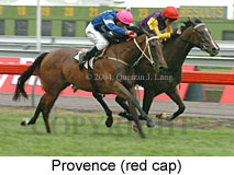 Provence (16971 bytes)