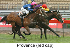 Provence (16971 bytes)