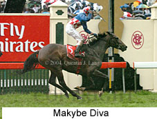 Makybe Diva (18507 bytes)