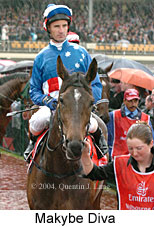 Makybe Diva (19107 bytes)