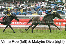 Makybe Diva (19779 bytes)