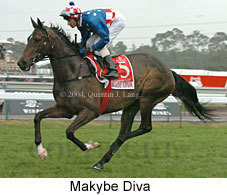 Makybe Diva (16200 bytes)