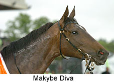 Makybe Diva (11017 bytes)