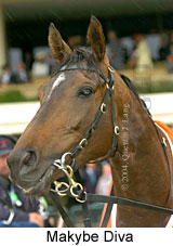 Makybe Diva (13253 bytes)