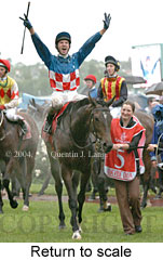 Return to scale (17769 bytes)