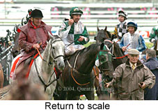 Return to scale (17769 bytes)