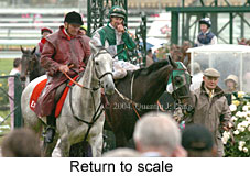 Return to scale (17769 bytes)