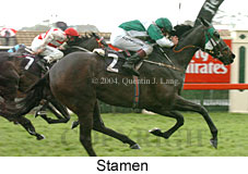 Stamen (16971 bytes)