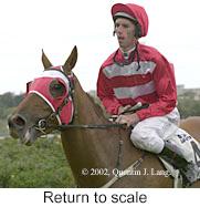 r2rtosc.jpg (8370 bytes)