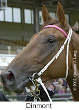 r4dinmont2.jpg (9485 bytes)