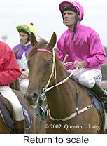 r4rtosc.jpg (9582 bytes)