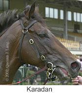 r6karadan2.jpg (8108 bytes)