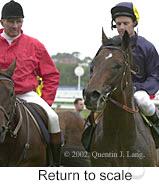 r6rtosc.jpg (8228 bytes)