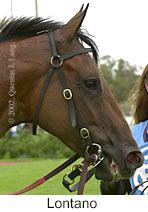 r7lontano2.jpg (7917 bytes)