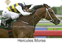 r8herculesmorse2.jpg (9271 bytes)