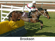 Brookson (16189 bytes)